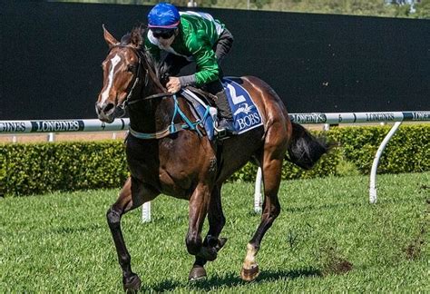 gimcrack tips|Gimcrack Stakes Odds .